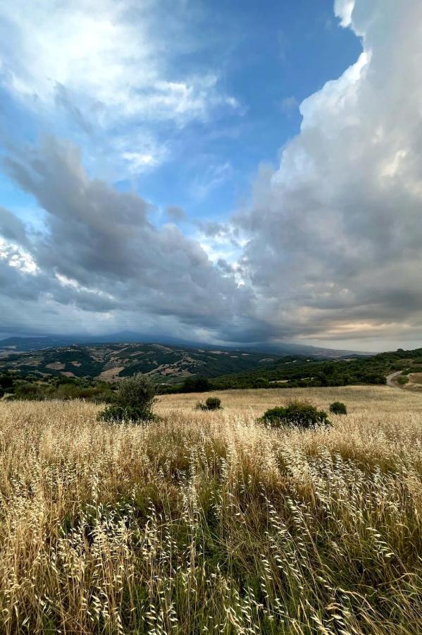 Casa Primavera A Rocca D'Orcia Castiglione dʼOrcia Екстериор снимка